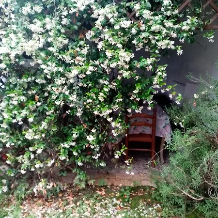 Apartament La Casa Di Mia Perino