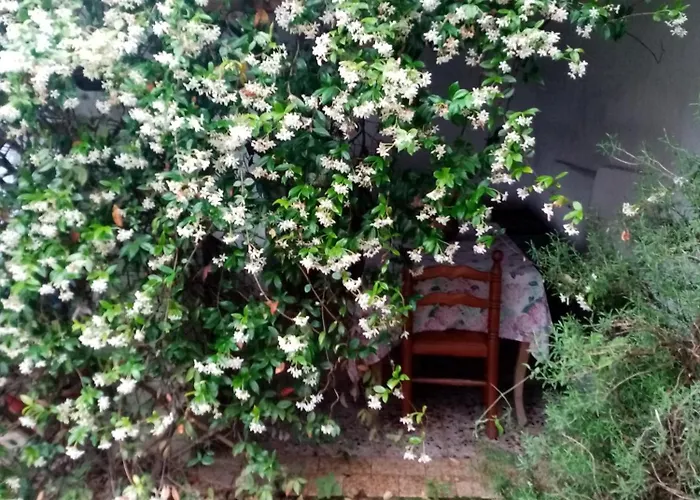 Apartment La Casa Di Mia Perino